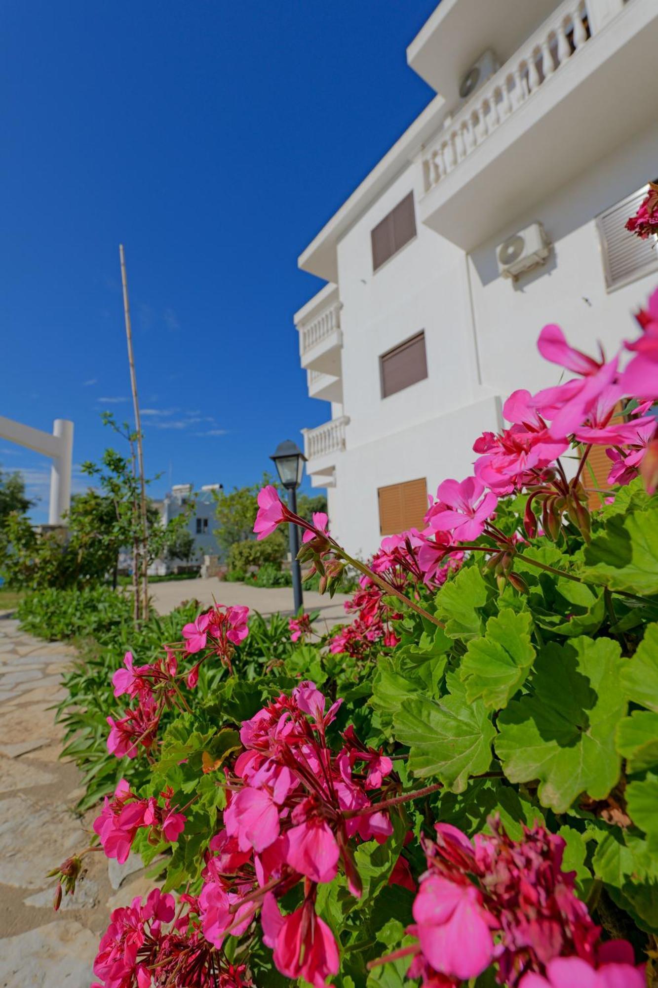Koloseo Rezidence Apartment