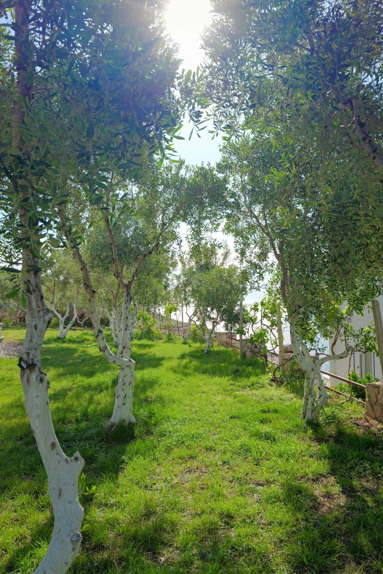 Koloseo Rezidence Apartment Sarande